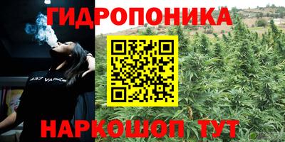 мяу мяу мука Лесосибирск
