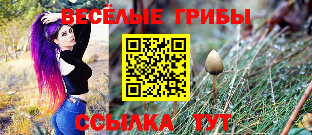 Великие Луки  Псилоцибиновые грибы Cubensis  Псилоцибиновые грибы прущие грибы  Вход с VPN 