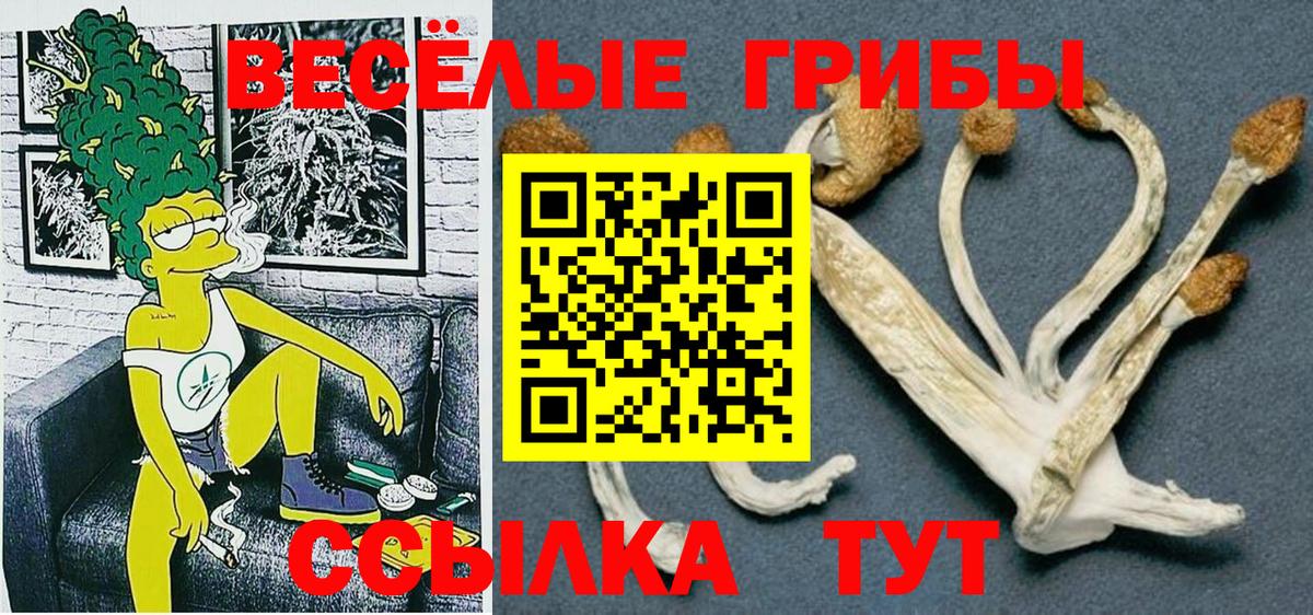 Галлюциногенные грибы прущие грибы Великие Луки